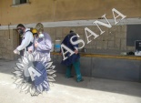 Image 3 - 