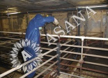 Image 3 - 